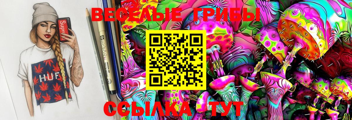 Псилоцибиновые грибы GOLDEN TEACHER  купить наркотик  Джанкой  Вход с VPN 